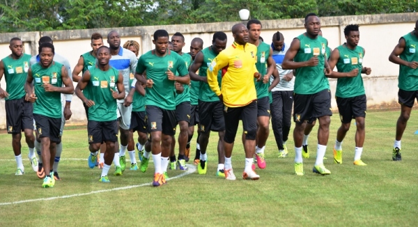 Séance d'entrainement des lions
