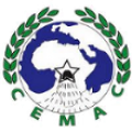 Coupe CEMAC 2013 : Le Cameroun mordu par les Panthères du Gabon.