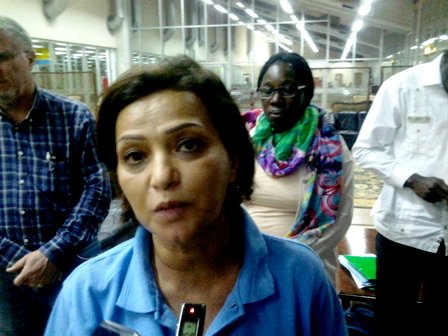 Najat Rochdi, Coordinatrice du Système des Nations Unies au Cameroun